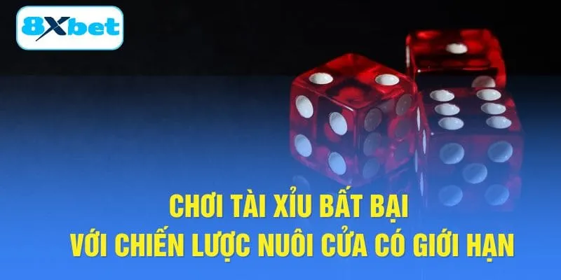 Chơi Tài Xỉu bất bại với chiến lược nuôi cửa có giới hạn
