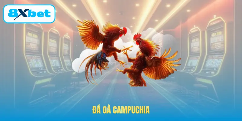 Đá Gà Campuchia – Nét Văn Hóa Truyền Thống Tại Nhà Cái 8XBET