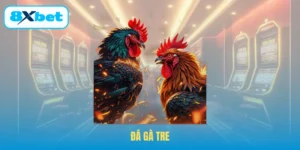 Đá Gà Tre – Trải Nghiệm Những Game Đấu Kinh Điển Từ 8XBET