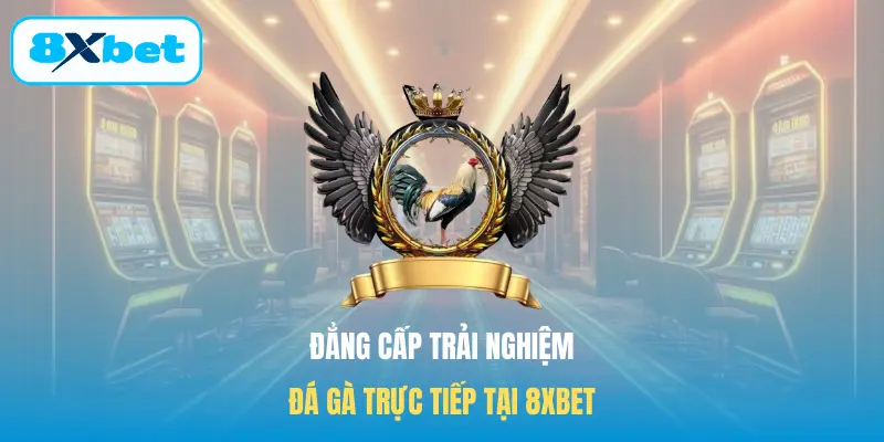 Đẳng cấp trải nghiệm đá gà trực tiếp tại 8XBET