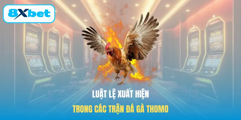 Luật lệ xuất hiện trong các trận Đá gà Thomo
