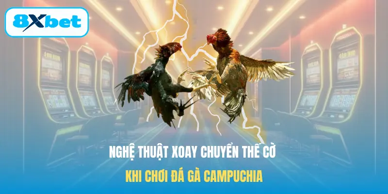Nghệ thuật xoay chuyển thế cờ khi chơi Đá gà Campuchia